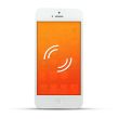 Apple iPhone 5 Reparatur Vibrationsalarm