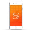 Apple iPhone 6 Plus Reparatur Laut- / Leise Schalter oder Ein- / Aus Schalter