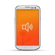 Samsung Galaxy S3 Reparatur Lautsprecher