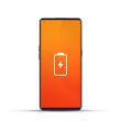 Oppo (alle Versionen) Reparatur Akku / Akkutausch