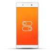 Sony Xperia Z5 Compact Reparatur Schalter