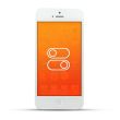 Apple iPhone 5 Reparatur Schalter