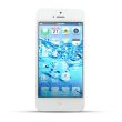 Apple iPhone 5 Reparatur Wasserschaden Behandlung