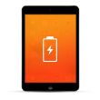 Apple iPad mini / mini 2 / mini 3 Reparatur Akku / Akkutausch