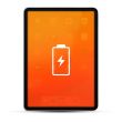 Apple iPad Pro (Alle Versionen) Reparatur Akku / Akkutausch Schwarz