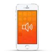 Apple iPhone 5s Reparatur Lautsprecher