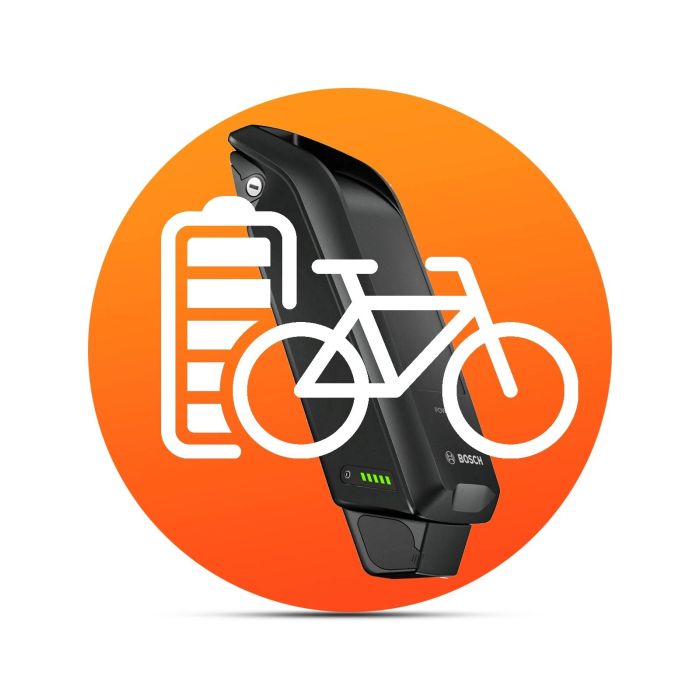 Panasonic / Bosch eBike Akku Diagnose (innerhalb von 2 Wochen) 